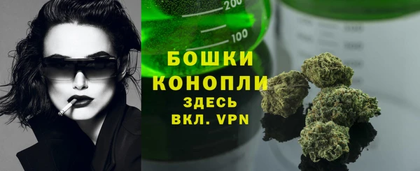 PSILOCYBIN Ижевск