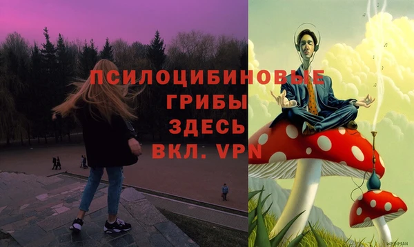 МДПВ Тольятти